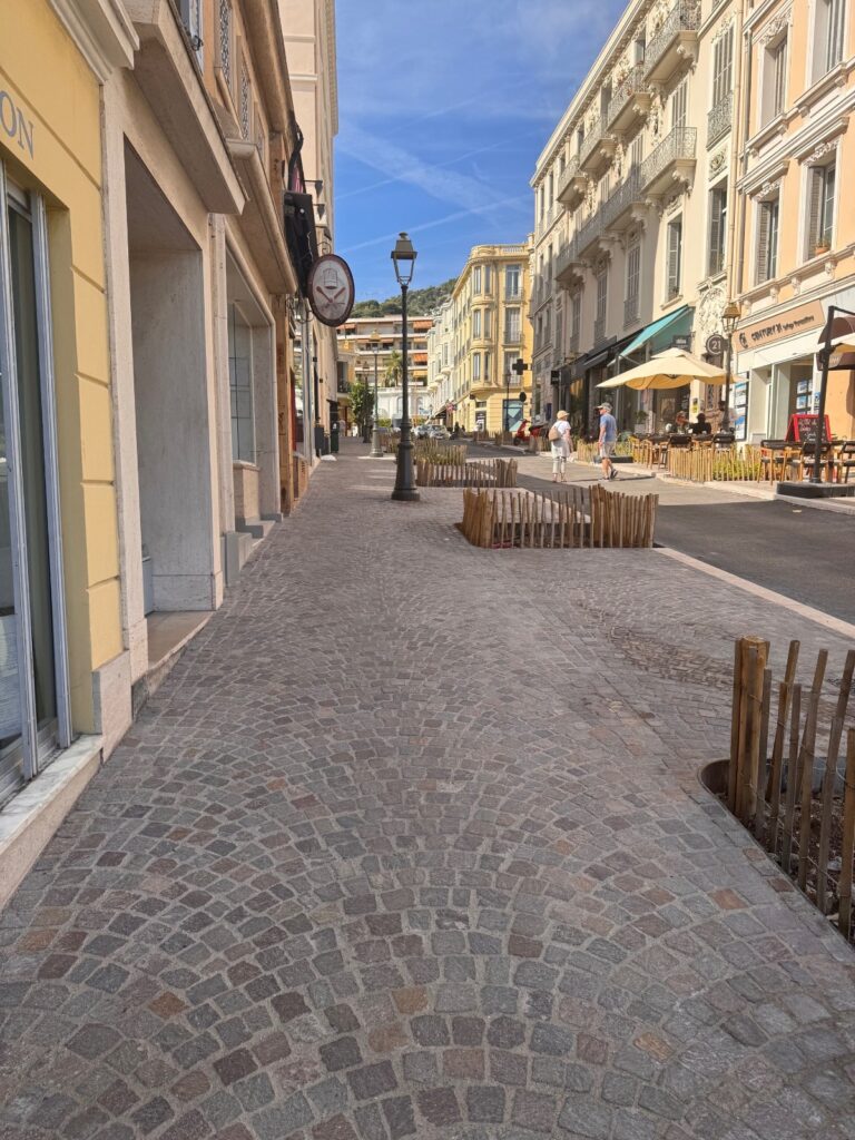 Pavage dans une rue piétonne réalisé par Ambetao